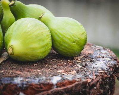 Quand planter un figuier ? Le repère qui change tout