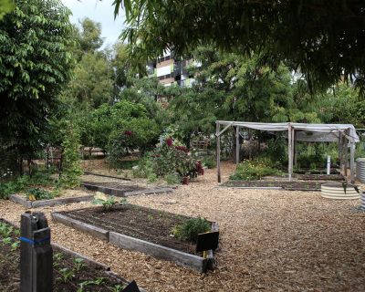 Que planter à l&rsquo;ombre pour un potager qui donne ?