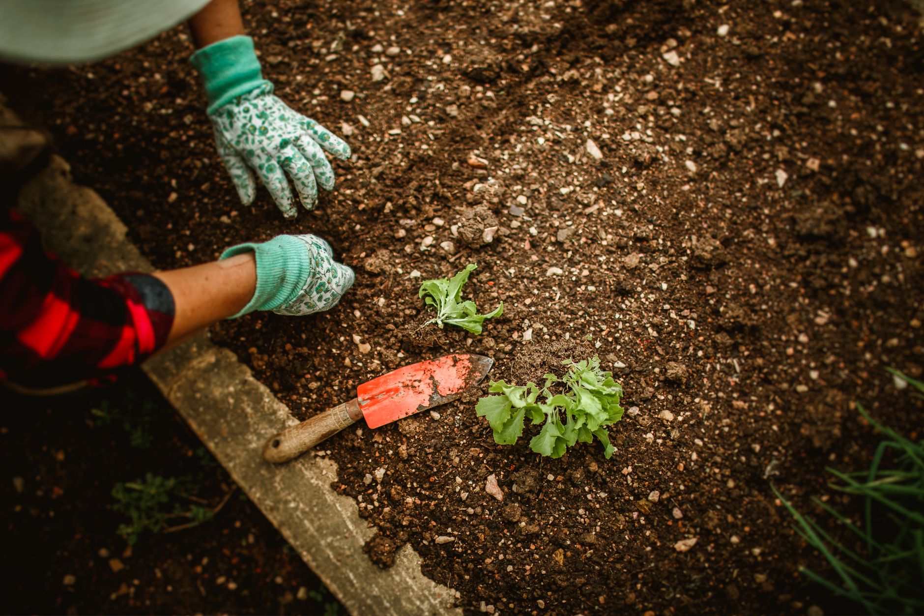 Jardinier qui travaille le sol à la main