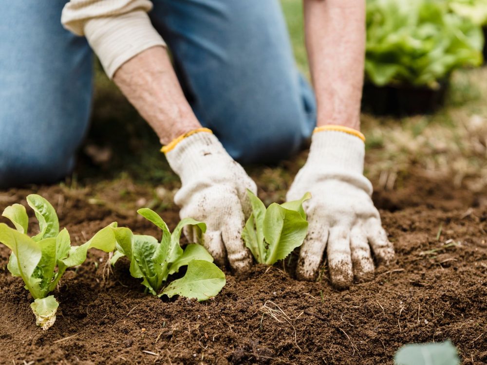 Combien de temps le glyphosate reste-t-il dans le sol ?