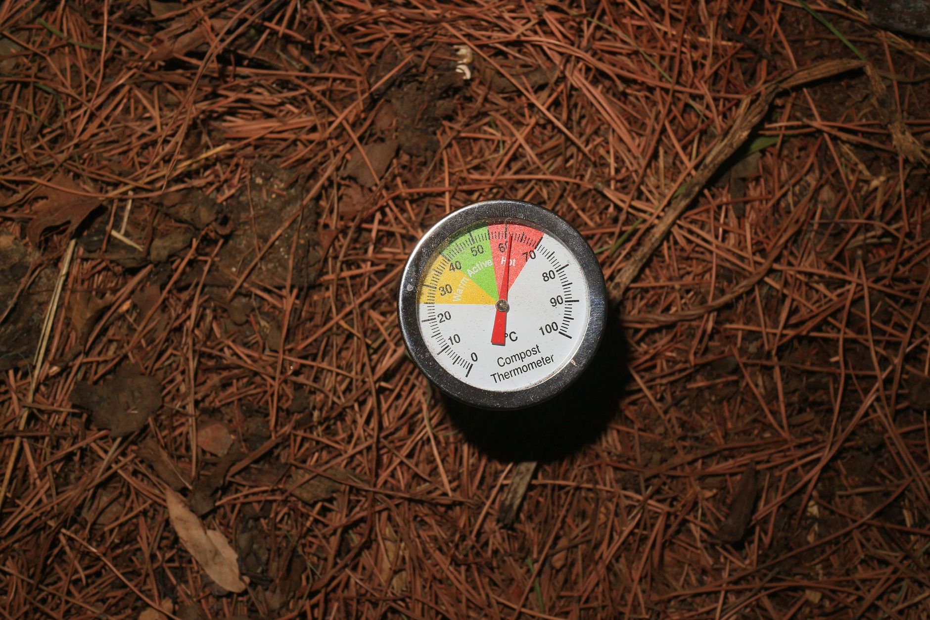 Thermomètre planté dans un tas de compost
