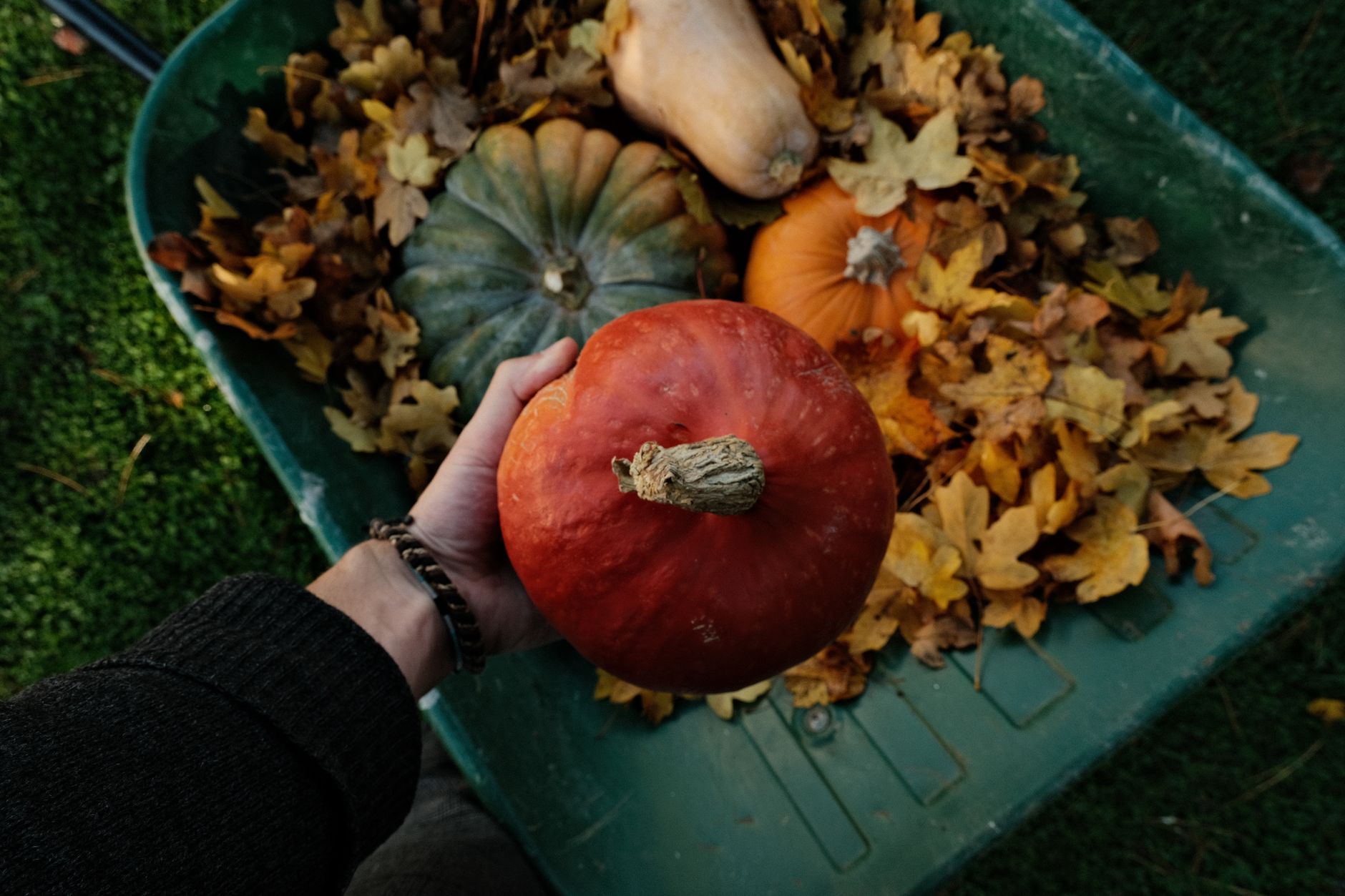 Brouette de courges et feuilles d’automne