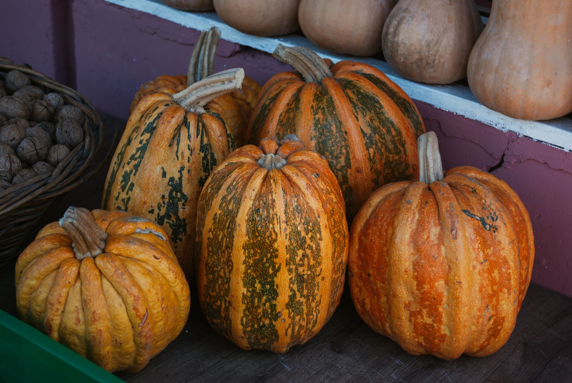 Courges récoltées et exposées sur un étal rustique
