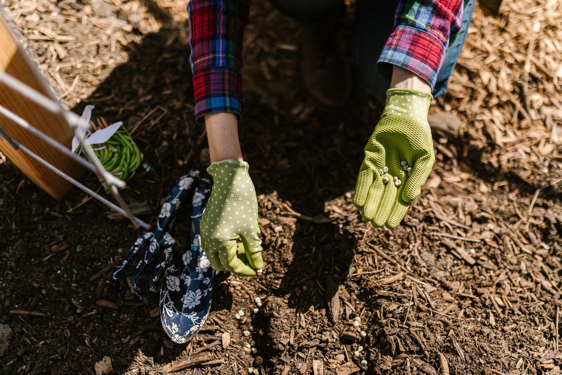Jardinier en gants qui sème des graines au jardin